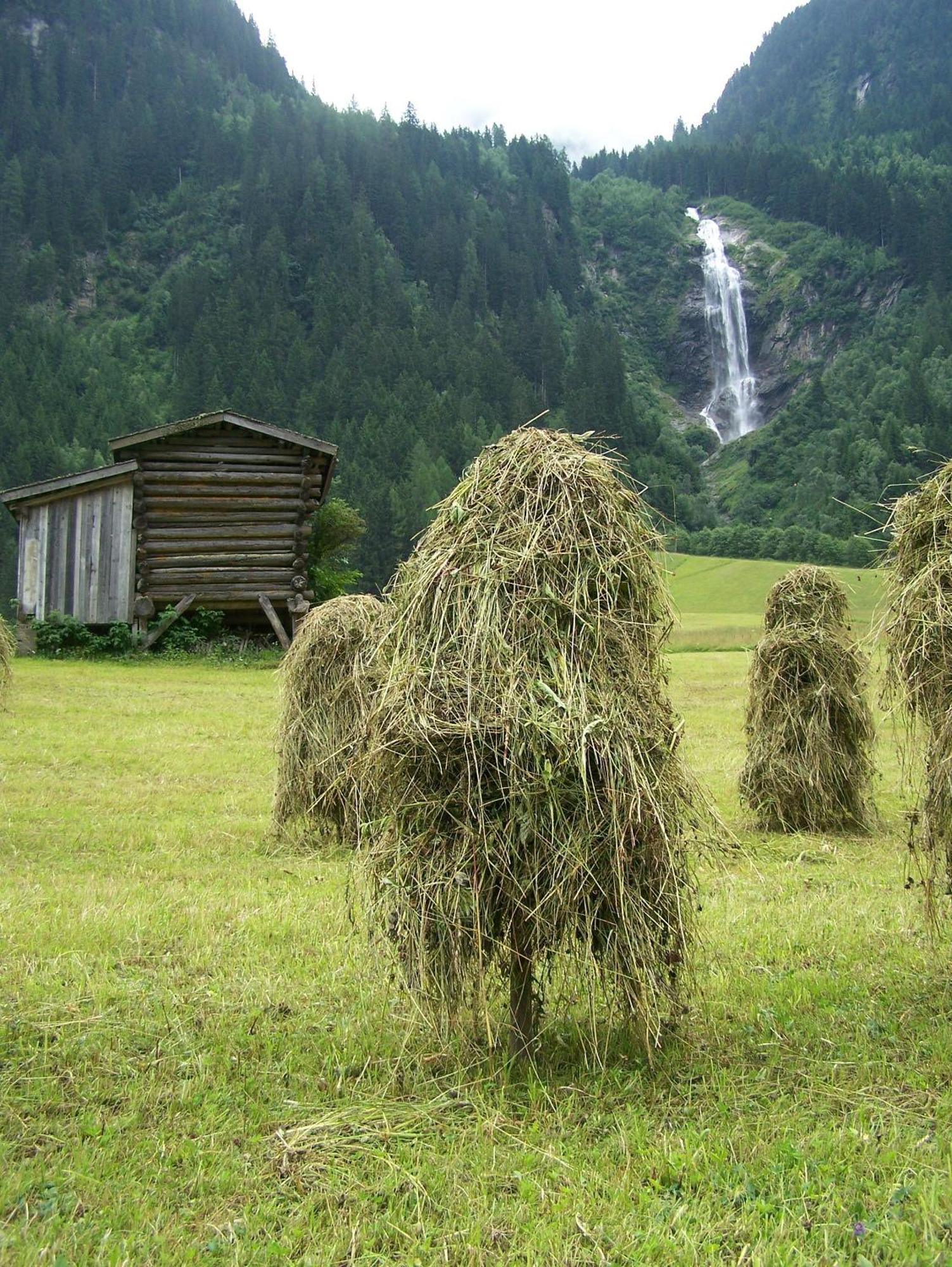 Apart-Pension Wasserfall Neustift im Stubaital Exteriér fotografie